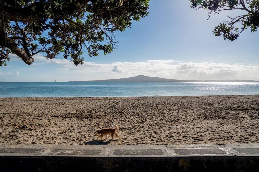 Stay Mission Bay Auckland Exteriör bild